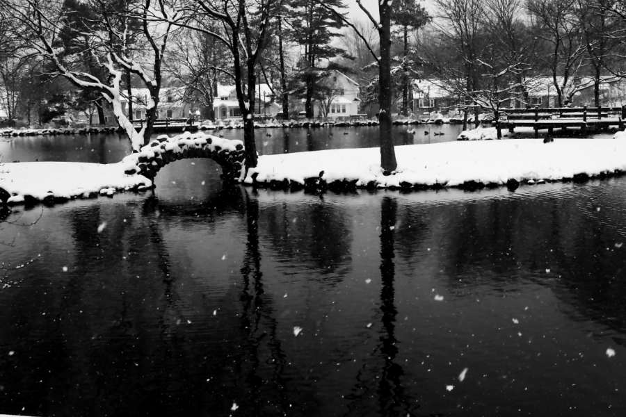 2010 02 26 IMG 8943m